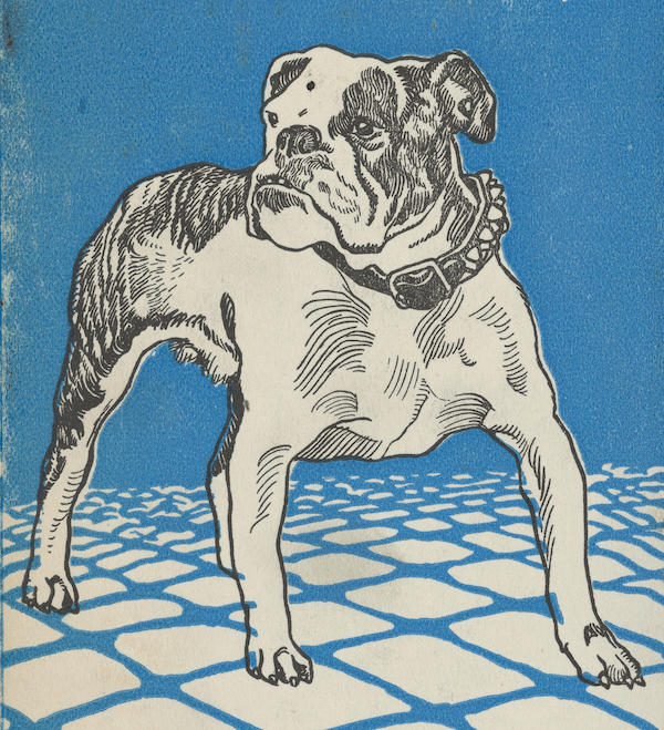 Bulldog by Moriz Jung